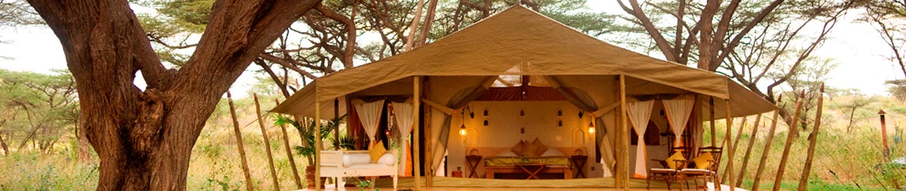 Joy's Camp